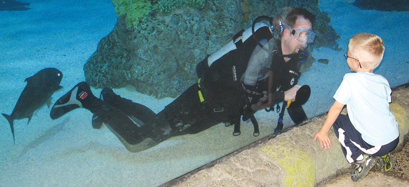 Making a splash: As water attractions grow, so does the Grand Junction firm that installs them.