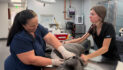 Animal ER gets bigger, better