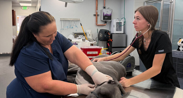 Animal ER gets bigger, better