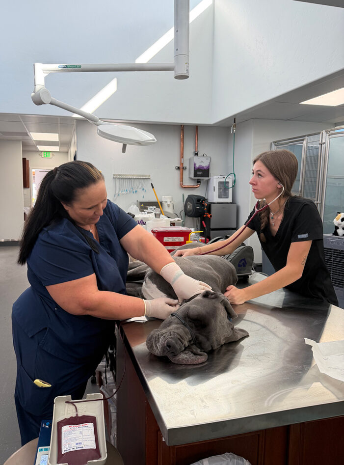 Animal ER gets bigger, better Animal ER gets bigger, better