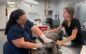 Animal ER gets bigger, better