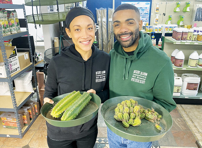 Growing venture caters to thumbs green and otherwise