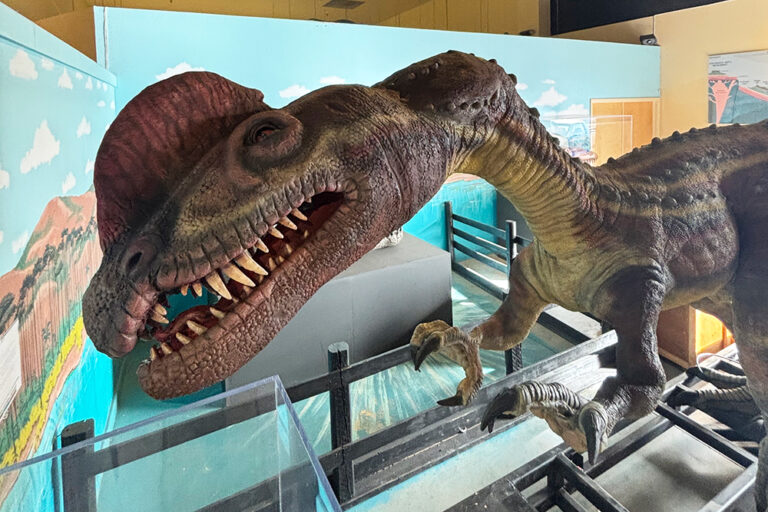 Dinosaur Journey features new animatronic dinosaurs – The Business Times