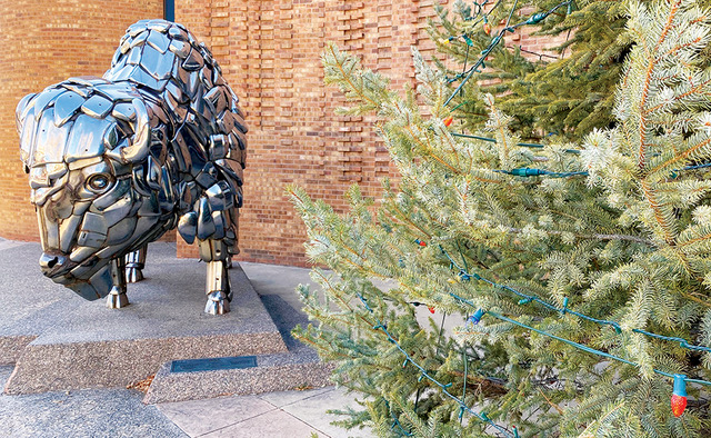 Holiday messages: Shop locally and stay safe