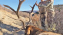 Will drought leave hunters high and dry?