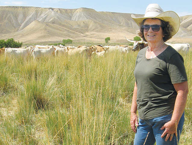 Brand awareness: Promoting cattle industry welcome task for Grand Valley rancher.