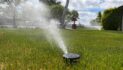 How much watering do lawns actually need?