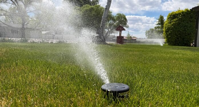 How much watering do lawns actually need?
