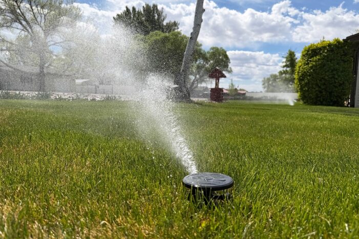 How much watering do lawns actually need?