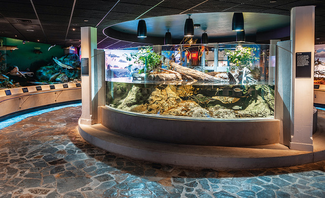 What a zoo: Grand Junction firm supplies panels for renovations