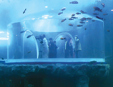 Exporting underseas attractions overseas